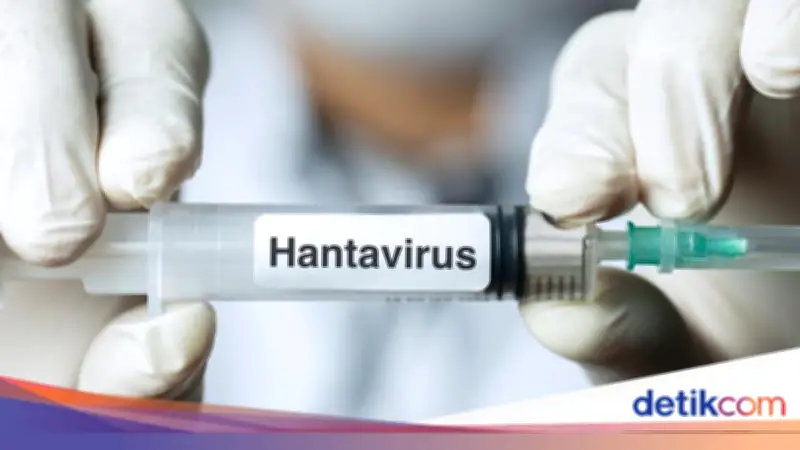 Dinkes DKI Temukan 4 Kasus Hantavirus di Jakarta: 3 Sembuh, 1 Suspek