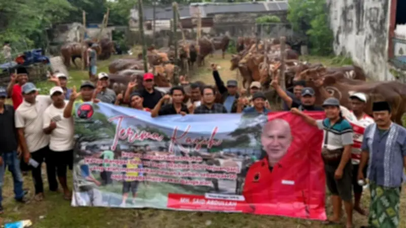 DPD PDIP Jatim Bagikan 485 Sapi Kurban untuk Masyarakat dan Pesantren
