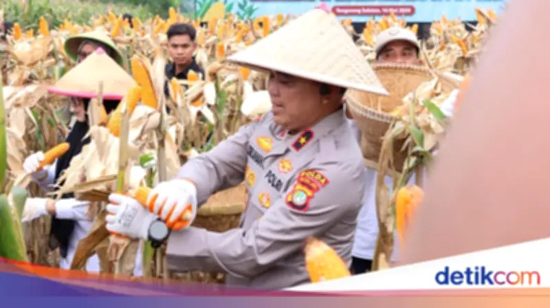 Dukung Ketahanan Pangan, Polda Metro Jaya Panen 3 Ton Jagung di Cisauk