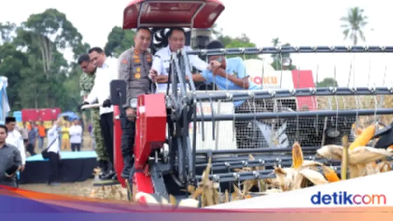 Dukung Swasembada Pangan, Polda Sumsel Lampaui Target Panen Raya Jagung di OKU