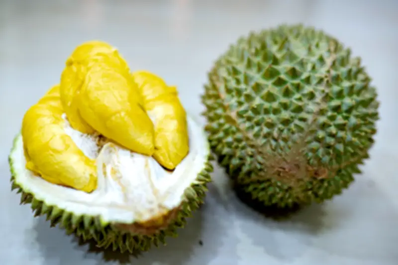 Durian Musang King Dinobatkan Buah Tropis Terburuk Versi Taste Atlas