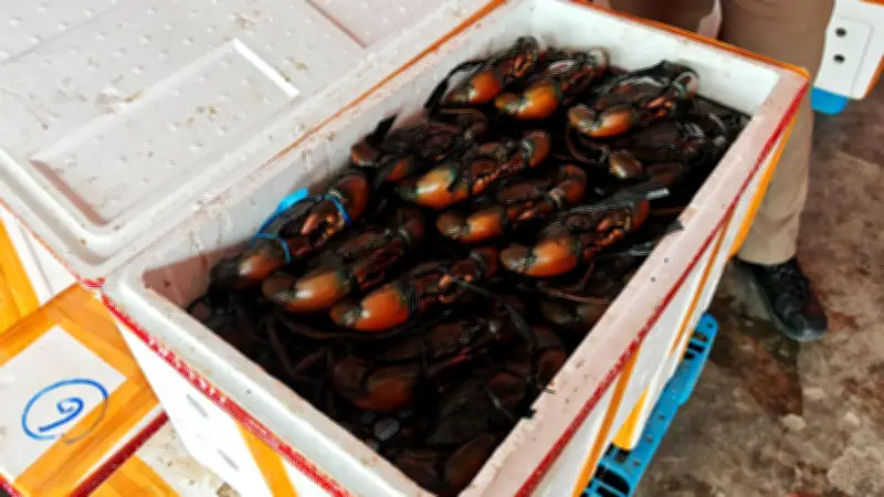 Ekspor Kepiting Bakau Mimika Tembus Rp1,05 Miliar, UMKM dan Nelayan Terdongkrak