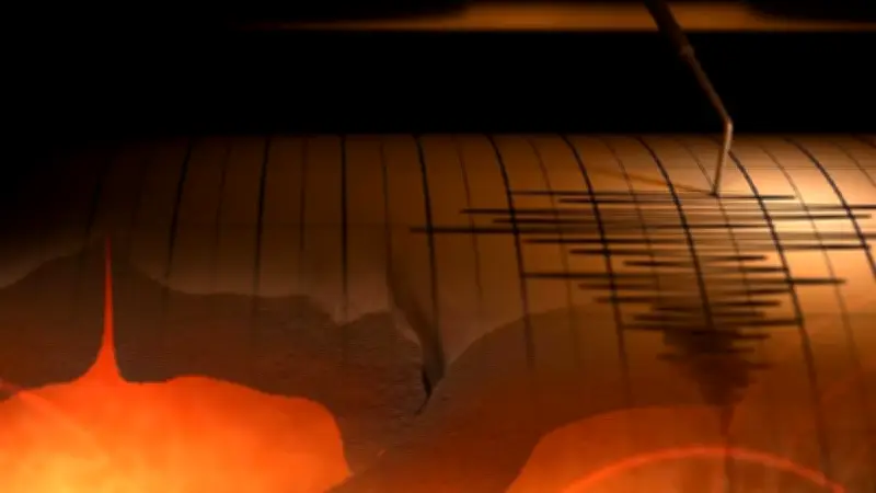 Gempa Dangkal M 4,8 di Laut Jember Terasa hingga Bali, Tak Berpotensi Tsunami