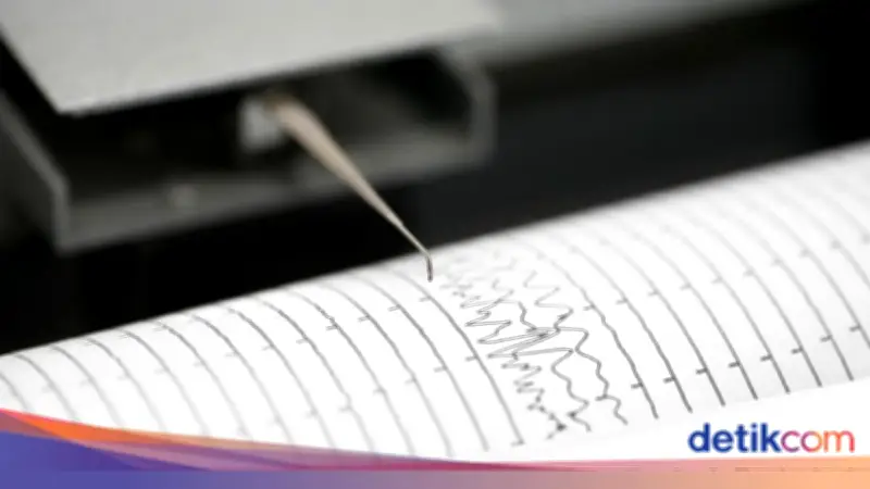 Gempa M 5,4 Guncang Keerom, Papua, Pusat di 794 Km Timur Laut