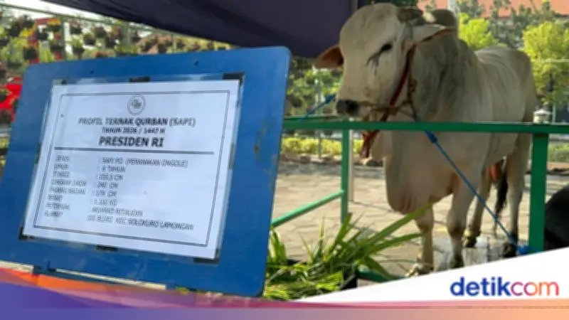 Gerindra: 1.098 Sapi Kurban Presiden dari APBN Tak Langgar Aturan