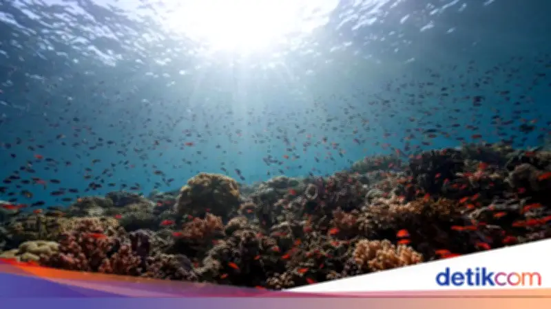 Hari Keanekaragaman Hayati Internasional 2026: Tema 'Acting Locally for Global Impact'