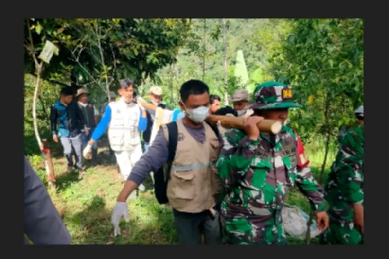 Harimau Sumatera Terjebak di Agam Berhasil Dievakuasi BKSDA Sumbar