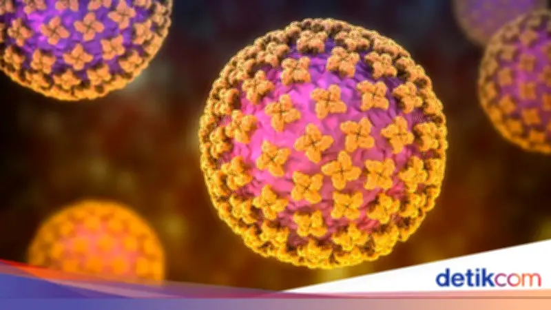 Hasil Laboratorium Suspek Hantavirus di Kulon Progo Dinyatakan Negatif