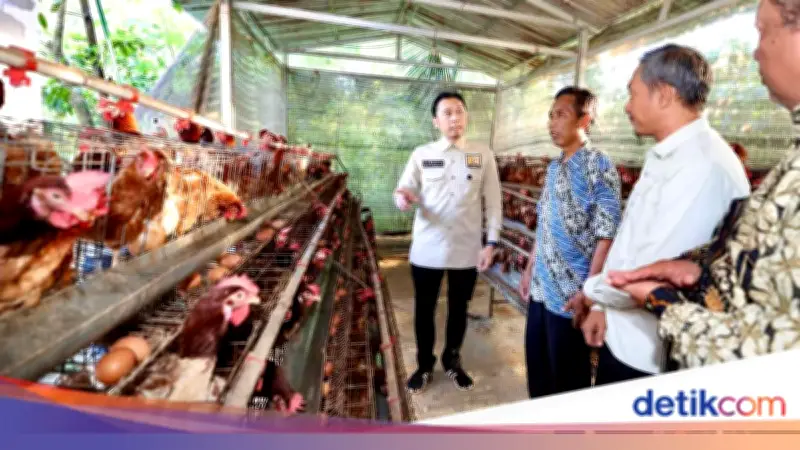 Ibas Dorong Peternakan Ayam Petelur Desa Jadi Penopang Ketahanan Pangan Nasional