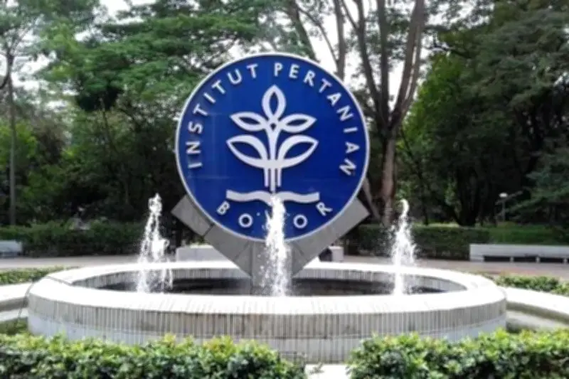 IPB Tegaskan Pendirian Dapur MBG Tak Gunakan Dana Kampus