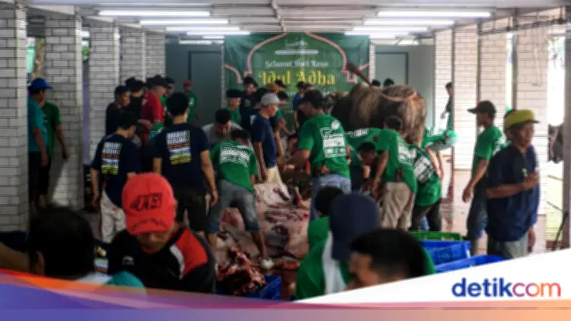 Istiqlal Tak Bagikan Daging Kurban Langsung, Disalurkan via Lembaga Terdata
