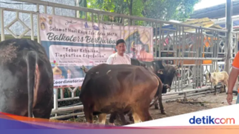 Iyung, Jagal Senior 47 Tahun Potong Hewan Kurban, Berbagi Pengalaman