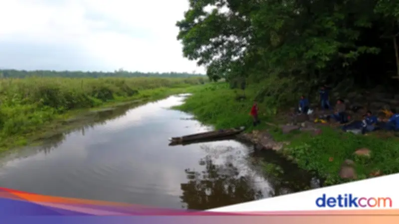 Jaga DAS Cidanau, Petani Dapat Insentif Rp 1,7 Juta per Hektare