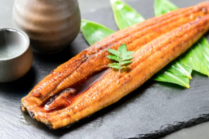 Jepang Jual Belut Unagi Hasil Penangkaran, Harga Rp 900 Ribu