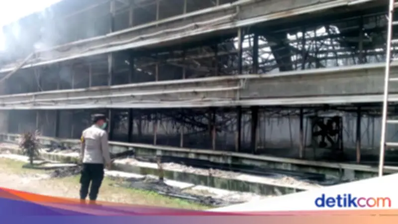 Kandang Ayam di Ciseeng Bogor Terbakar, 150 Ribu Ekor Ayam Hangus
