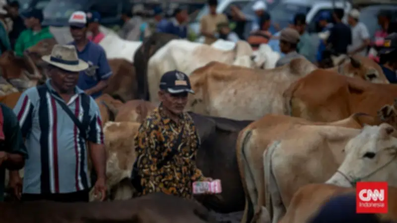 Kemenag Gelar Sidang Isbat Idul Adha Hari Ini, Ini Jadwalnya