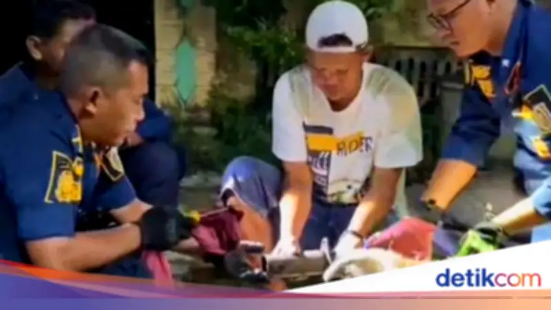 Kepala Kucing Nyangkut di Knalpot Mobil, Damkar Klaten Lakukan Evakuasi Hati-hati