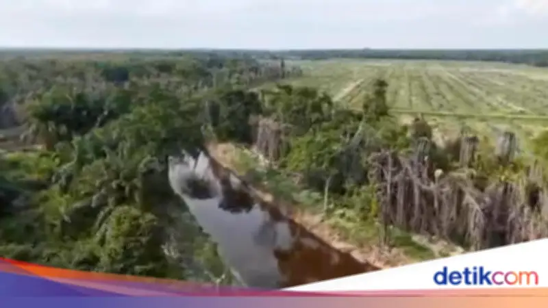Komisi III DPR Dukung Polda Riau Beri Hukuman Berat Korporasi Sawit Perusak Sungai