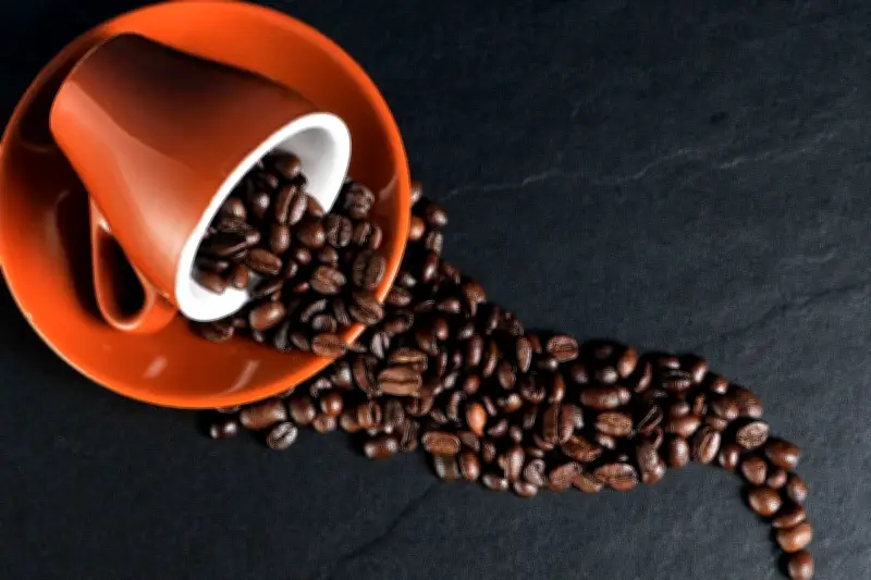 Kopi: Superfood Kaya Antioksidan, Ini Manfaatnya bagi Kesehatan