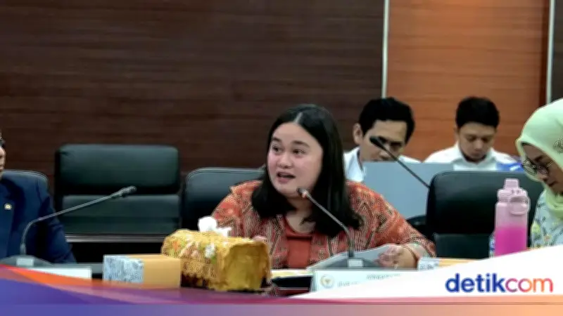 Legislator PAN Puji Kemlu Pulangkan 9 WNI Relawan Flotilla dari Israel