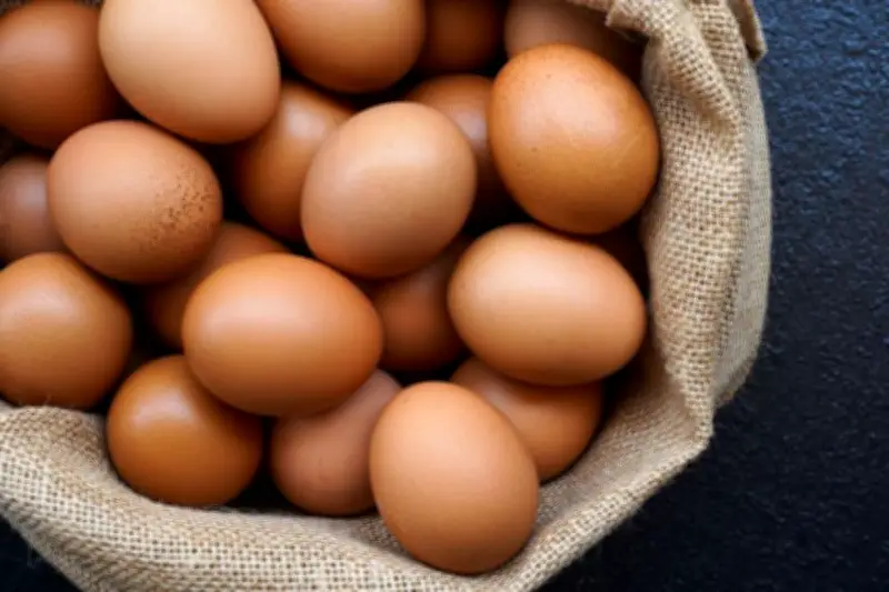 Menkes Ungkap Manfaat Telur Rebus Setiap Pagi untuk Kesehatan