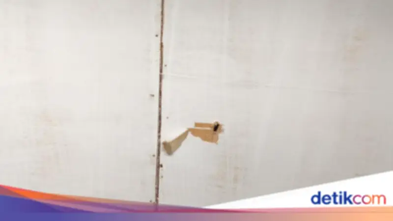 Pemilik Rumah di Ciracas Kaget Pegang Peluru Nyasar yang Masih Panas