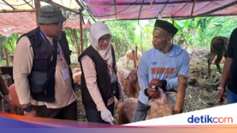 Pemkot Serang Inspeksi Hewan Kurban, Pastikan Sehat dan Layak