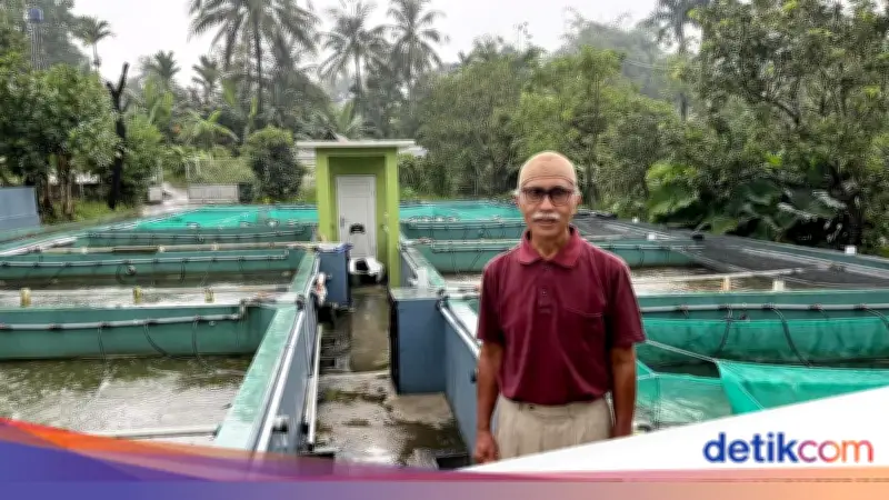 Pensiunan BUMN Sukses Budidaya Ikan Nila dengan Sistem Bioflok Berkat BRI