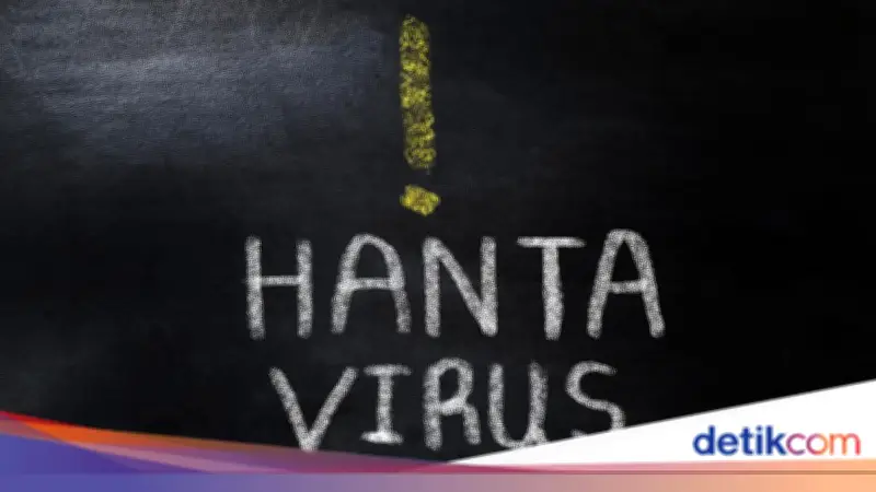Penumpang Kapal Pesiar asal Kanada Diduga Positif Hantavirus Andes