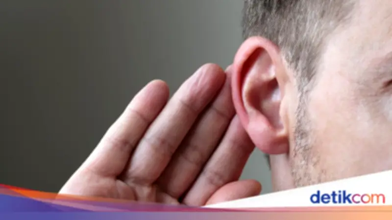 Perang Besar Berlarut-larut Akibat Insiden Telinga Seorang Pelaut