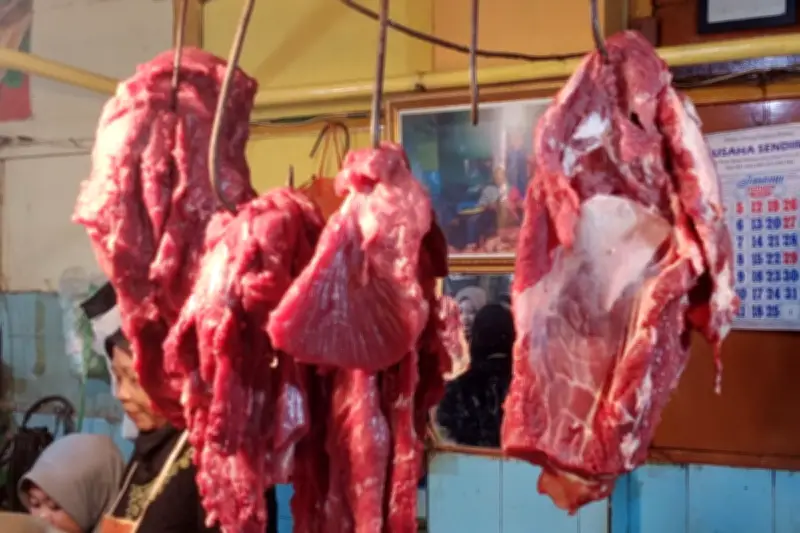 Perbandingan Gizi Daging Sapi, Kambing, dan Unta: Mana Paling Sehat?