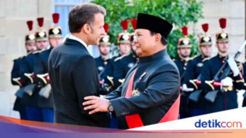 Pertemuan Prabowo-Macron: Isu Palestina hingga Kerja Sama Pertahanan