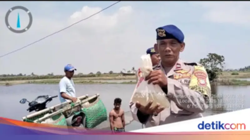 Polairud Polda Metro Tebar 10 Ribu Bibit Bandeng Dukung Ketahanan Pangan