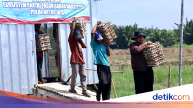 Polda Metro Jaya Panen 3.000 Butir Telur untuk Dukungan Ketahanan Pangan