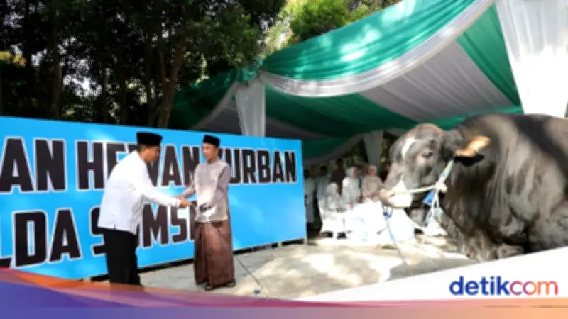 Polda Sumsel Salurkan 579 Hewan Kurban hingga ke Pelosok Daerah