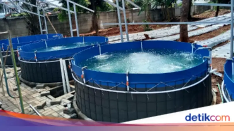 Pompa Udara Yasunaga Tingkatkan Produktivitas Tambak Udang