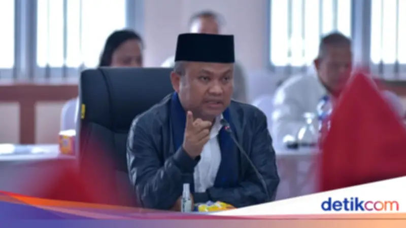 Prabowo ke Prancis, Gerindra: Diplomasi Ofensif Konversi Nikel Jadi Investasi