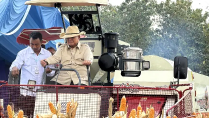 Prabowo Nyetir Traktor Sendiri Saat Panen Jagung di Tuban