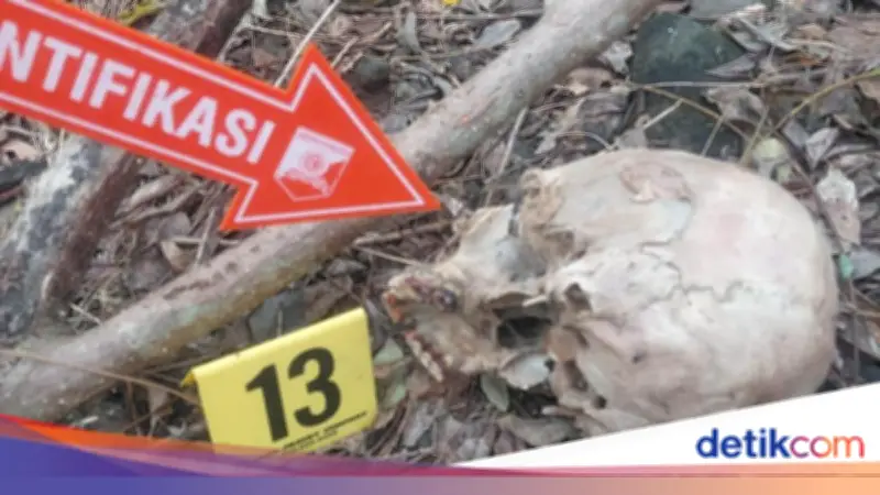 Pria Malaka Hilang Sejak April, Ditemukan Tinggal Tengkorak di Hutan