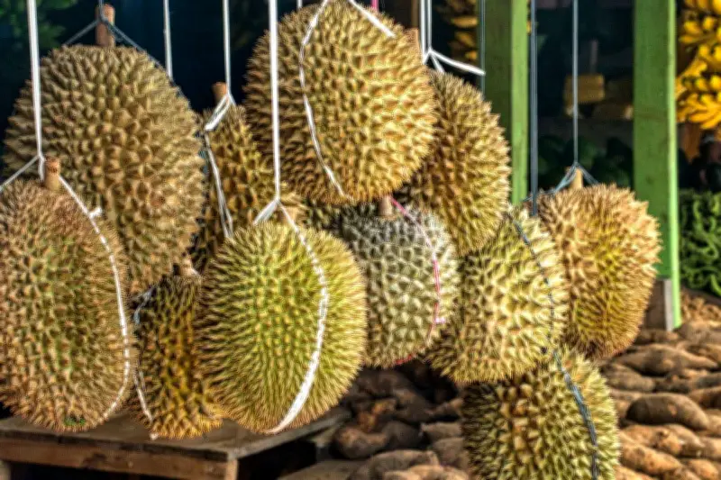 Promo Durian SGD 1,95 Diserbu Warga Singapura, Antre Sejak Pagi