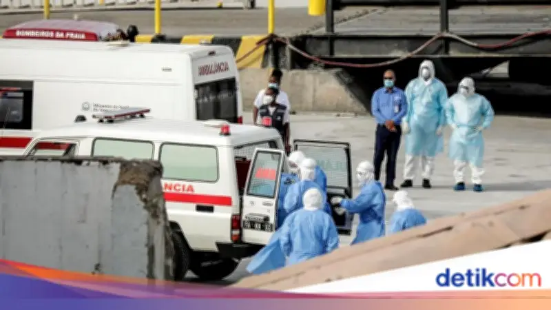 Risiko Hantavirus Dinilai Rendah, Pemantauan Dilakukan di Berbagai Negara