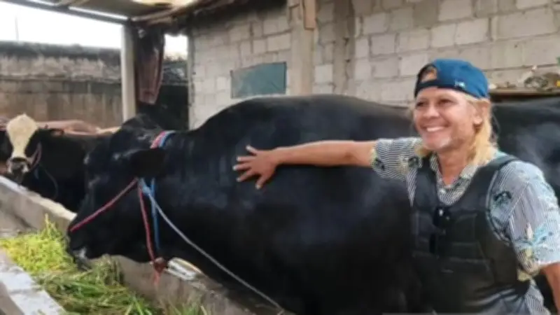 Sapi Brangus 1,15 Ton Milik Peternak Tangerang Jadi Kurban Prabowo