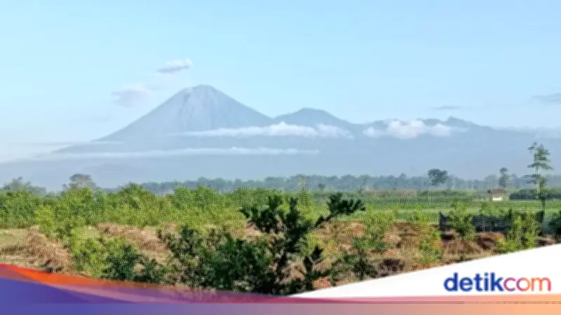 Semeru Erupsi 7 Kali dalam 4 Jam, Warga Diminta Jauhi Radius 13 Km