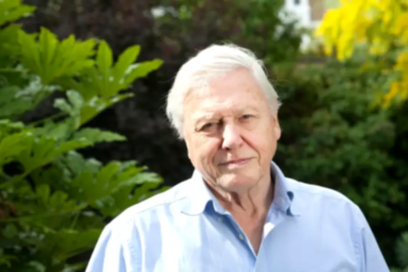 Sir David Attenborough Rayakan 100 Tahun, Rahasia Umur Panjang Hanya Keberuntungan