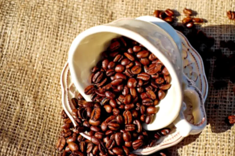 Studi: Kopi dan Teh Bisa Turunkan Risiko Kanker, Ini Faktanya