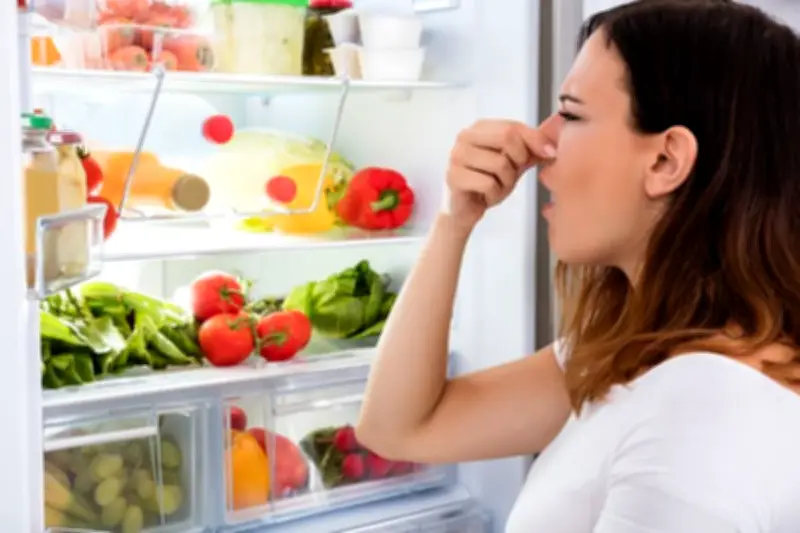 Telur Ayam dan Makanan yang Tak Boleh Disimpan di Freezer