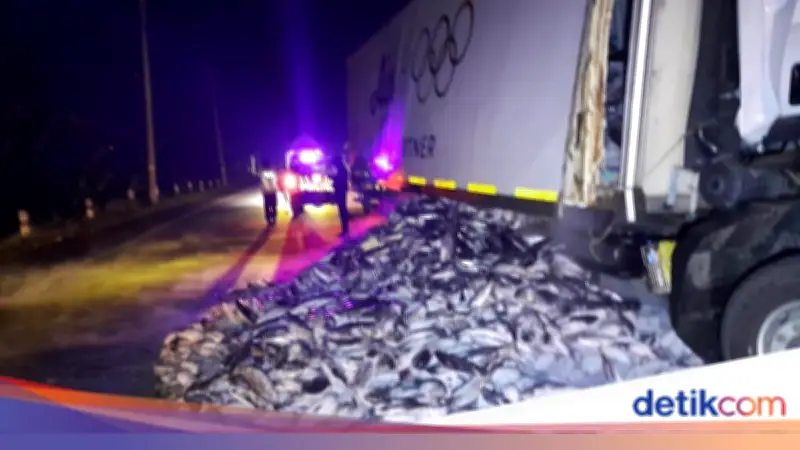 Truk Seruduk Truk di Grobogan, Muatan Ikan Tuna Berserakan di Jalan
