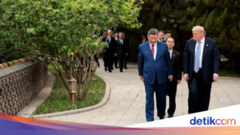 Trump Terkejut Diajak Xi Jinping Lihat Pohon Berusia Ratusan Tahun