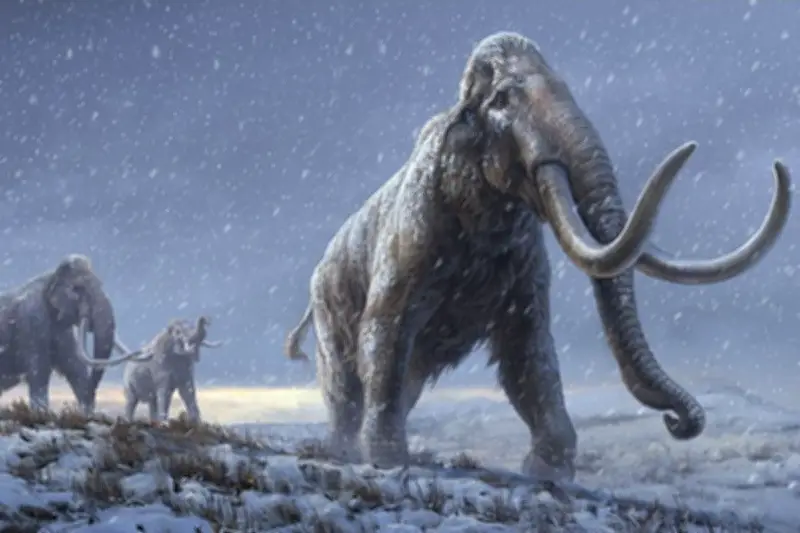 Tulang Raksasa di Museum Ternyata Bukan Milik Mammoth Berbulu
