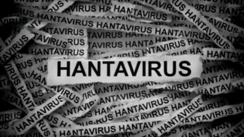Update Kasus Hantavirus Jakarta: 3 Positif, 6 Suspek Dipantau